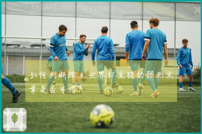 如何判断烽火世界杯竞猜的预测文章是否可信？