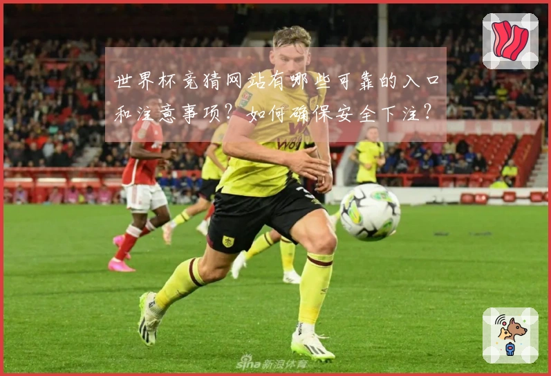 世界杯竞猜网站有哪些可靠的入口和注意事项？如何确保安全下注？