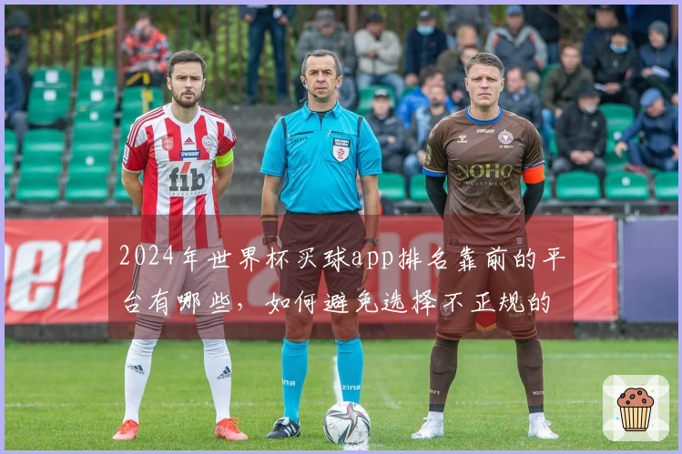 2024年世界杯买球app排名靠前的平台有哪些，如何避免选择不正规的平台？